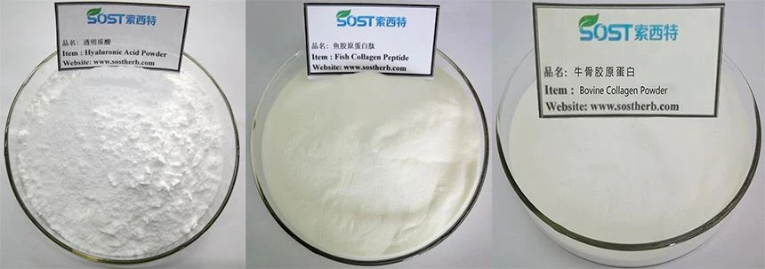 Hyaluronic Acid