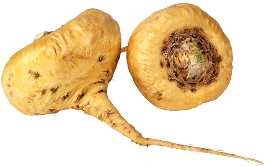 maca-root_