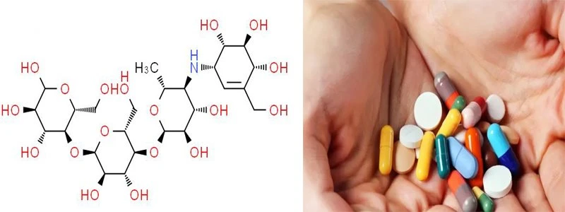 acarbose acarbose