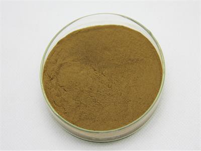 fenugreek extract powder fenugreek extract powder