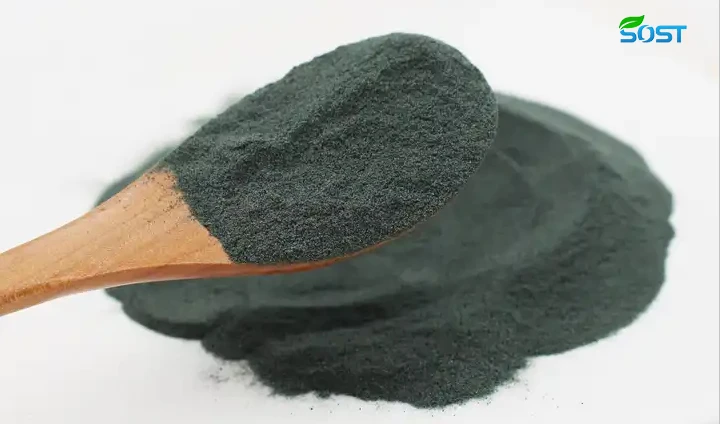 chlorophyll 3