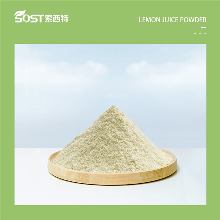Lemon Juice Powder (2)