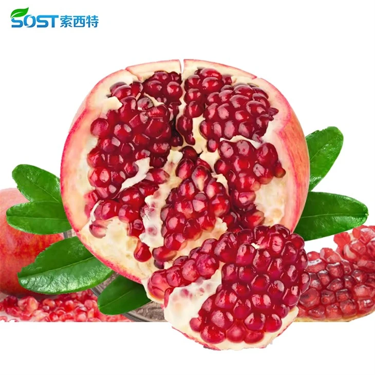 Pomegranate Extract Powder2