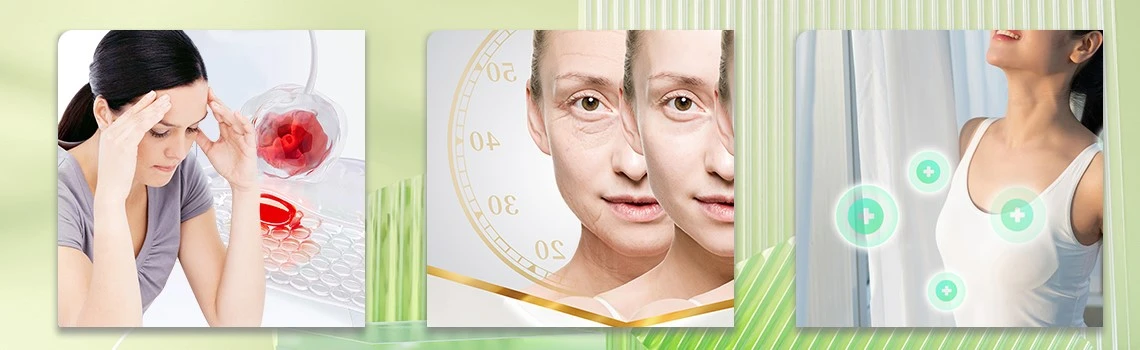 Natural Chlorophyll Powder 2 Natural Chlorophyll Powder 2