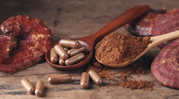 Reishi Mushroom Spore Powder Reishi Mushroom Spore Powder