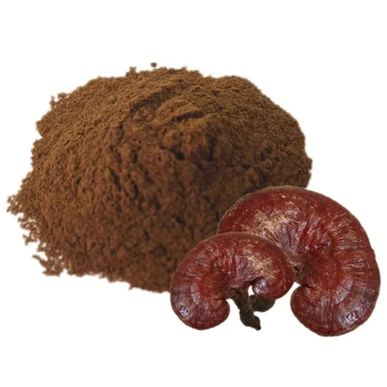 Reishi Mushroom Spore Powder