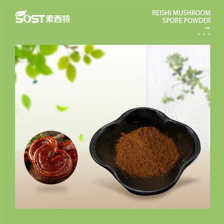 Reishi Mushroom Spore Powder-1