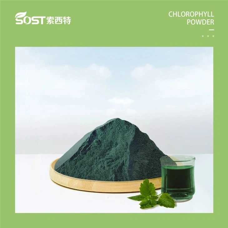 Sodium Copper Chlorophyllin Powder