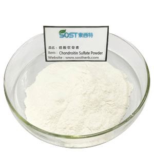 콘드로이틴 황산염 추출물 분말