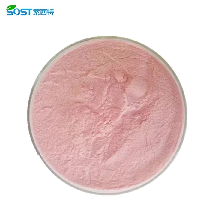 Pomegranate Extract Powder