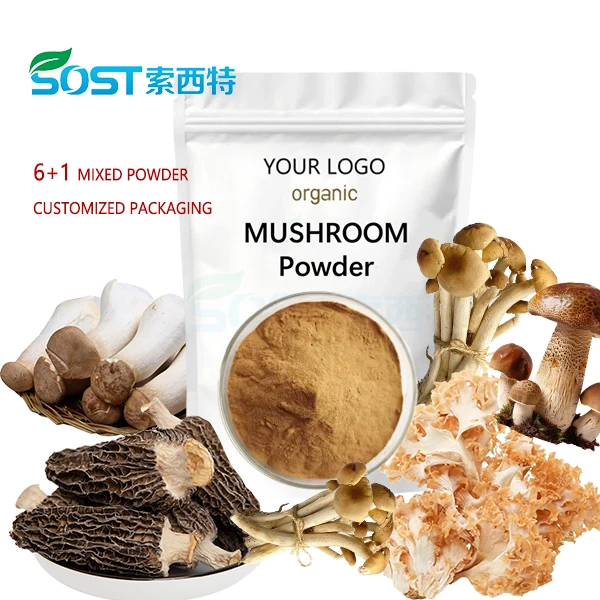 Reishi Mushroom Spore Powder suppliers